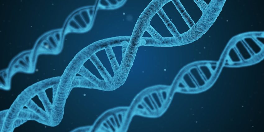 Bilim nedir? Bilimin tanımı nedir?