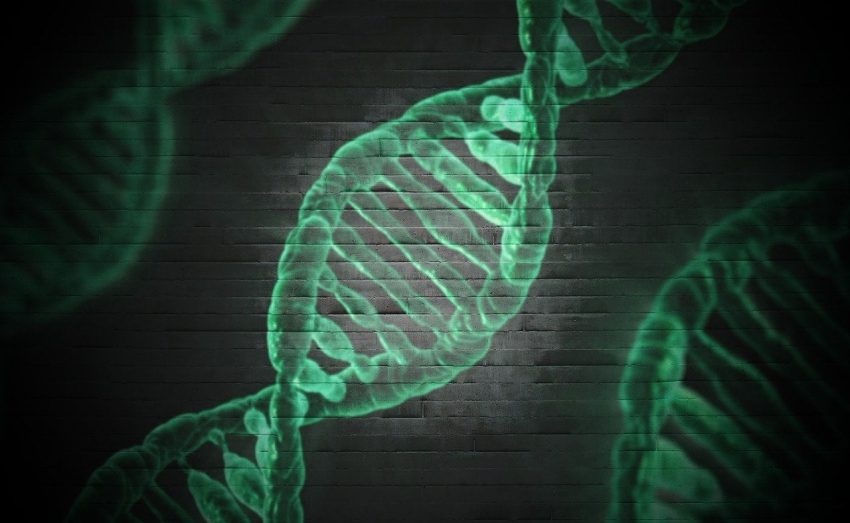 Epigenetik: Genlerin Ötesinde Kalıtım